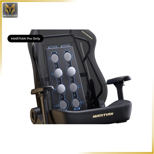 صندلی گیمینگ دی ایکس ریسر مدل DXRACER Martin Series 2025 XL Black رنگ مشکی