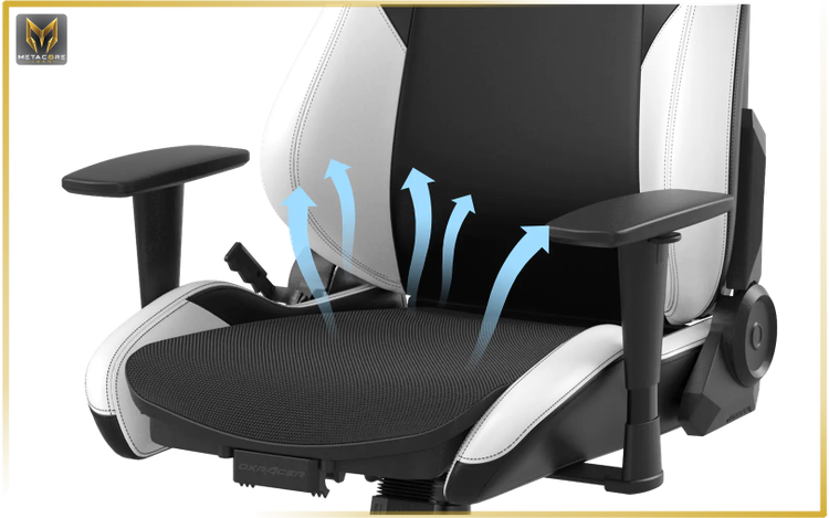 صندلی گیمینگ دی ایکس ریسر مدل DXRACER Craft Series 2025 XL Black White مشکی سفید